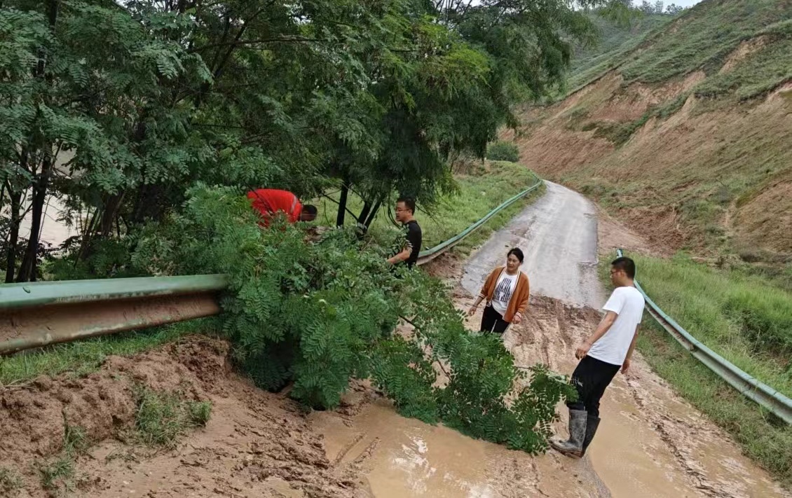 板桥.jpg