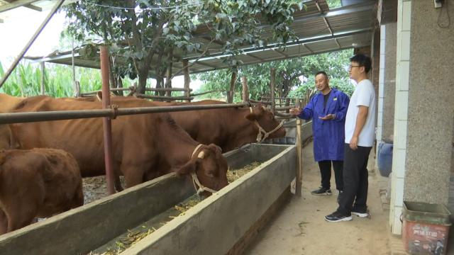 1728890046409033253.png image.png