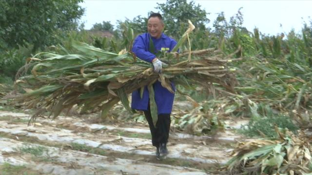 1728890029001003171.png image.png