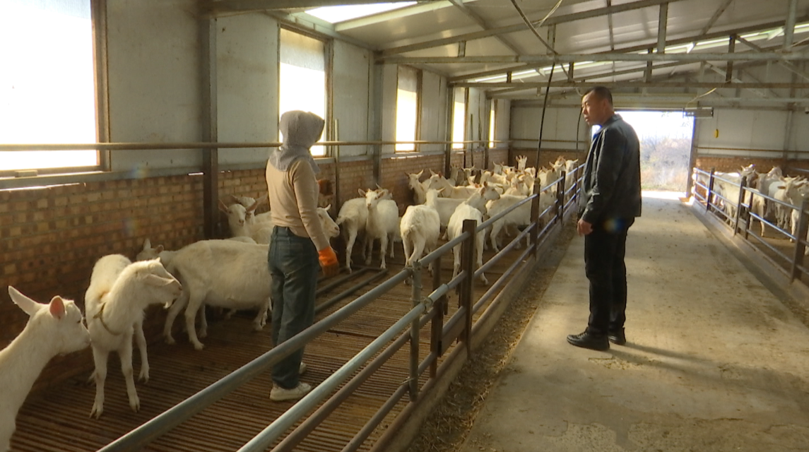 1733817134223010130.png 876d6684fbb33ba2b6c582b528445f04_720.png