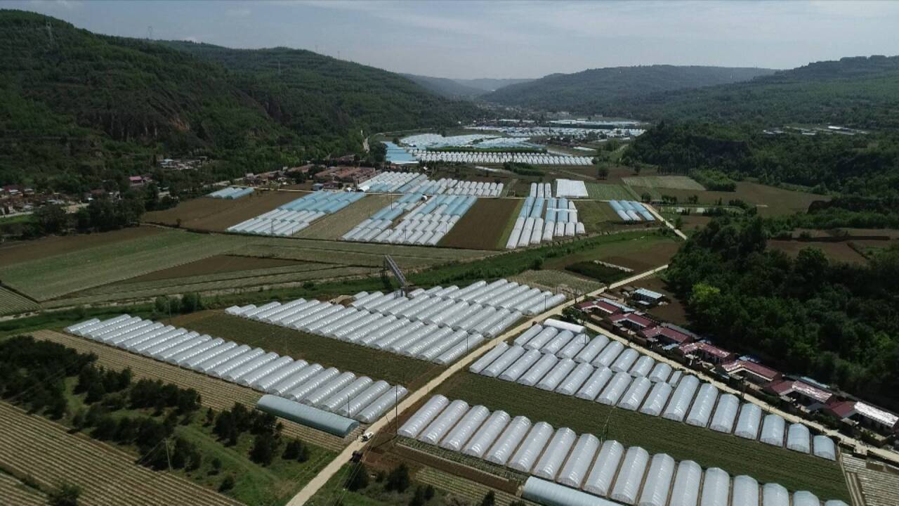 27b2c60855553726eb144491d2155dc6_720.jpg