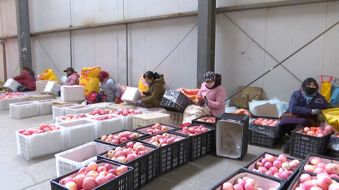 1736927088303001952.png 2a913f34ad1379e0d7a64bf2d1aa7d79_720.png