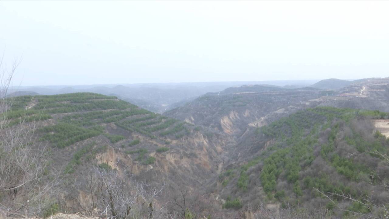 1743578092715057473.jpg 138bc6b0197e66256277ec95cbf667a4_720.jpg