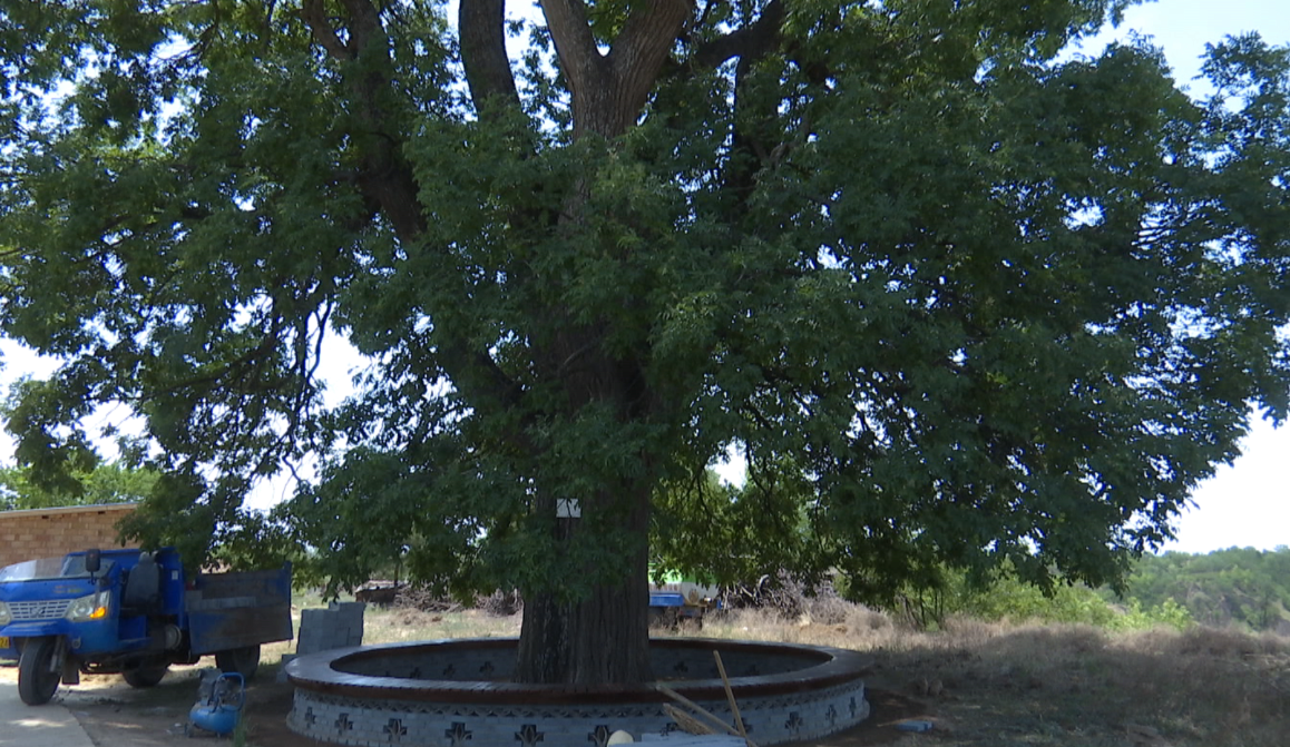 8a6d00b15baef4289c65d0afec5662a3.png