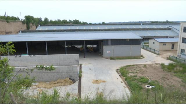 1753173013536058277.png image.png