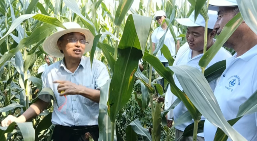 1753947756131020649.png 7b591a2c03fb9c82c63f57b70f7a53a6.png