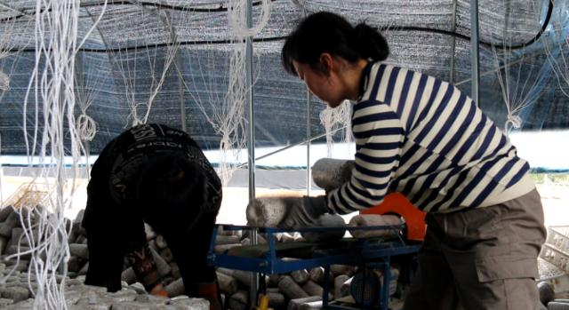 1758766439100088925.png image.png