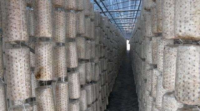 1758766454501090305.png image.png