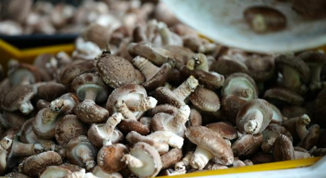 1758766496065068699.png image.png