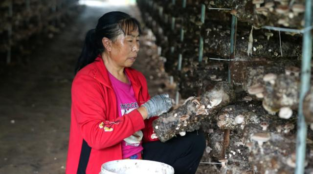 1758766477701035101.png image.png