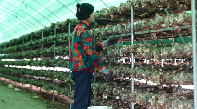 1758766469152085438.png image.png