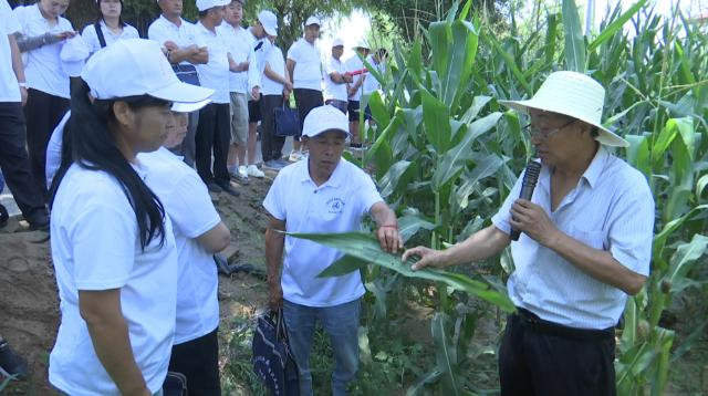 1760084339871060333.png image.png