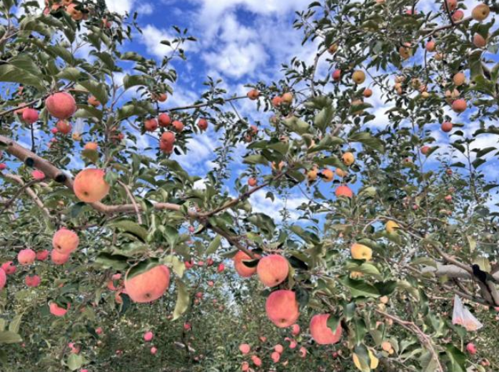 1760692884688016323.png QQ_1760692881244.png