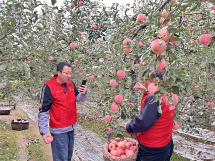 1760692867727073499.png QQ_1760692863660.png