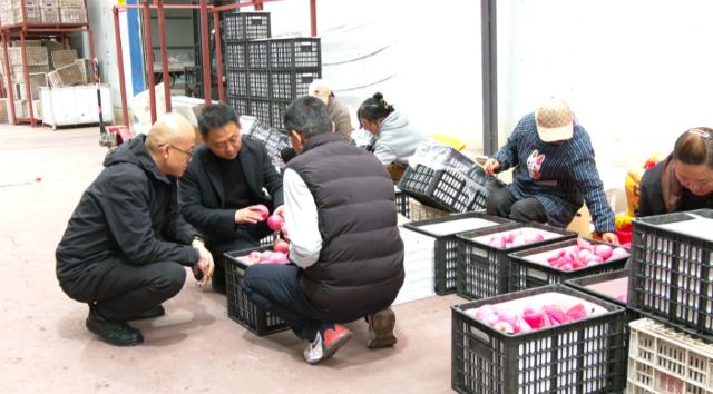 合水县板桥镇：“抢收队”下田间  助农守护 “粮果仓”387.png