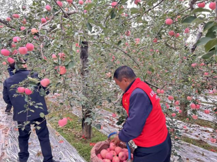 1760692496019049259.png QQ_1760692487236.png