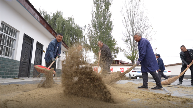 耕耘终有获 津甘协作结硕果 ——合水太莪乡300亩黑小米喜迎丰收426.png