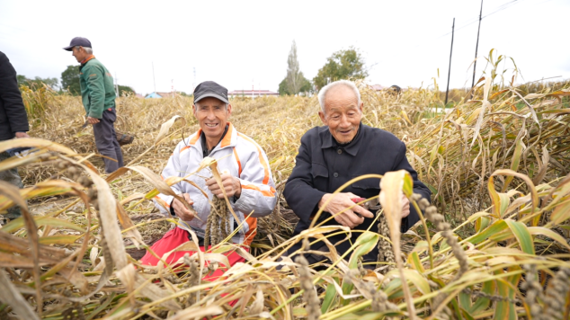 耕耘终有获 津甘协作结硕果 ——合水太莪乡300亩黑小米喜迎丰收418.png