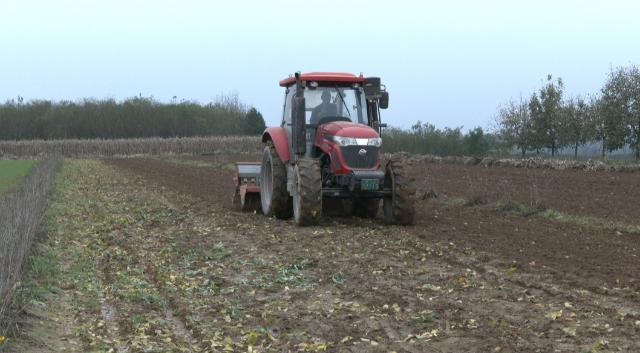 合水县吉岘镇罗家畔村：秋播扫尾忙不停 孕育丰收新希望93.png