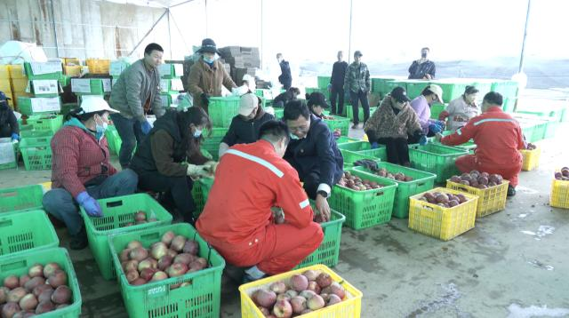 1761297460878047738.png 合水县吉岘镇开展“九九重阳敬老行 企地同心献真情”慰问暨助农活动377.png