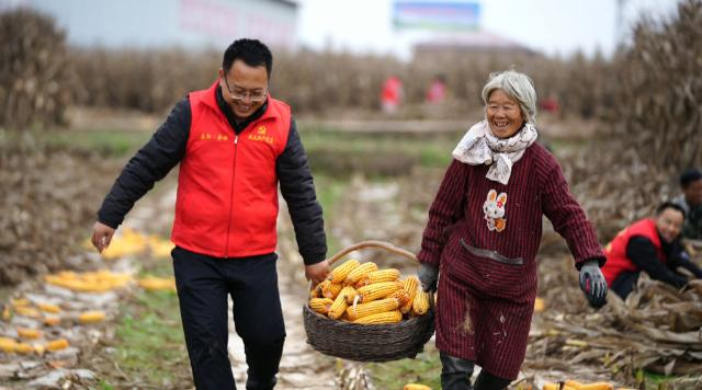 合水县太白镇：党群合力抢收忙 暖心助农保归仓385.png