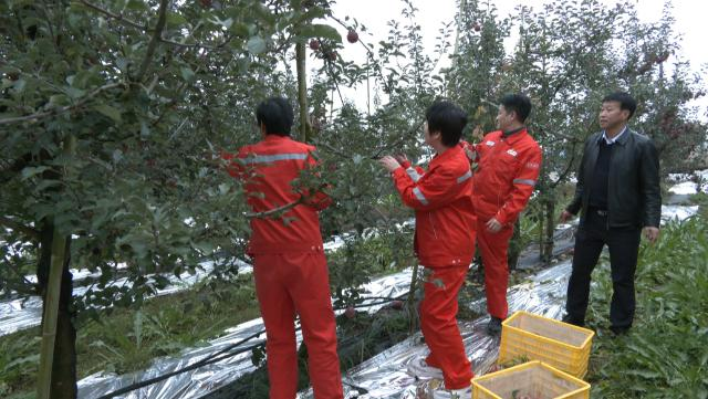 1761297452153013595.png 合水县吉岘镇开展“九九重阳敬老行 企地同心献真情”慰问暨助农活动375.png