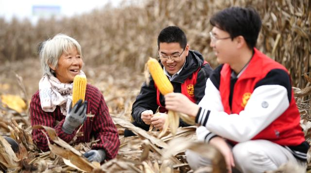 合水县太白镇：党群合力抢收忙 暖心助农保归仓387.png