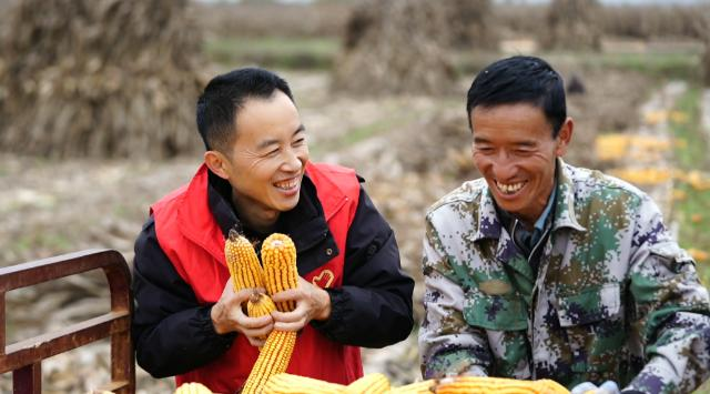 合水县太白镇：党群合力抢收忙 暖心助农保归仓169.png