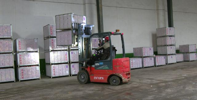 【全面推进乡村振兴 加快农业农村现代化】合水县苹果走俏市场   绘就增收致富甜蜜画卷735.png