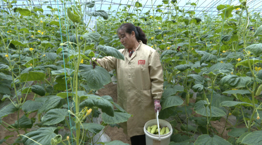 1762156948182044406.png 3cf0fbeef9a9e9ace57204862973fe69_720.png