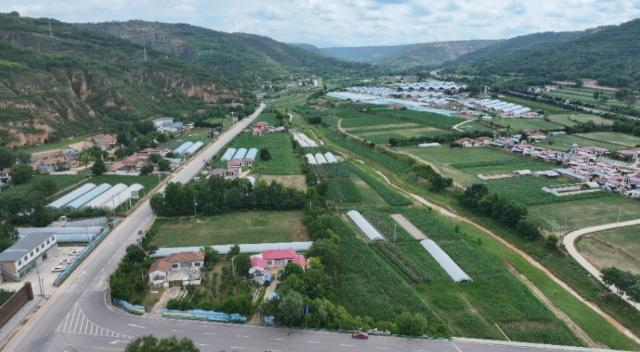 1762156970271009379.png 【乡村行 看振兴】合水县板桥镇:白黄瓜抢“鲜”开园 奏响丰收序曲268.png