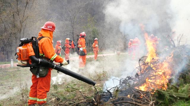 1762329612469091315.png 合水林管分局开展2025年秋冬季森林草原防灭火应急演练94.png