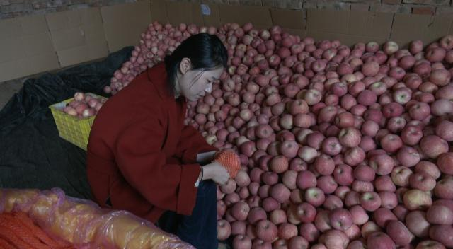 1762508498498008966.png image.png