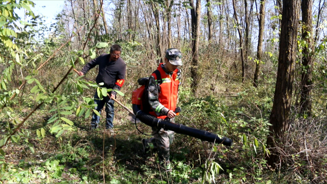 1762763495349076507.png 3c44c18f92e6a7b89bbd8fca6d84a8b4_720.png