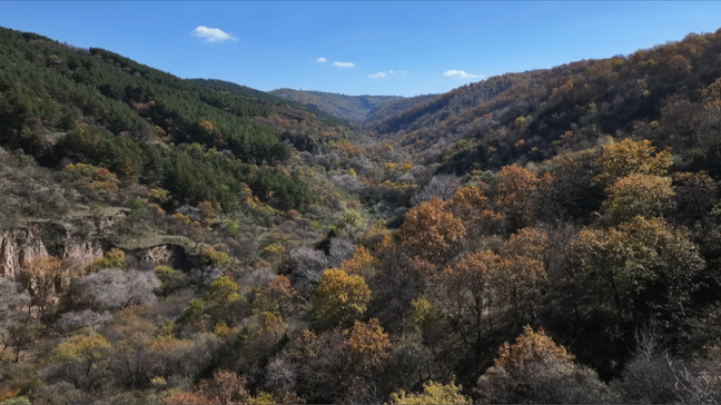 1762763549193057673.png a449d9f415ea862f4b1fcdc69a4fb4ce_720.png