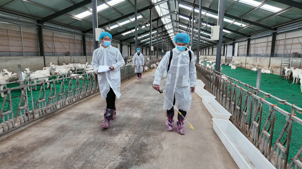 1762935192408042261.png 6889c304969df3e7cbc1113bf186f3e5_720.png