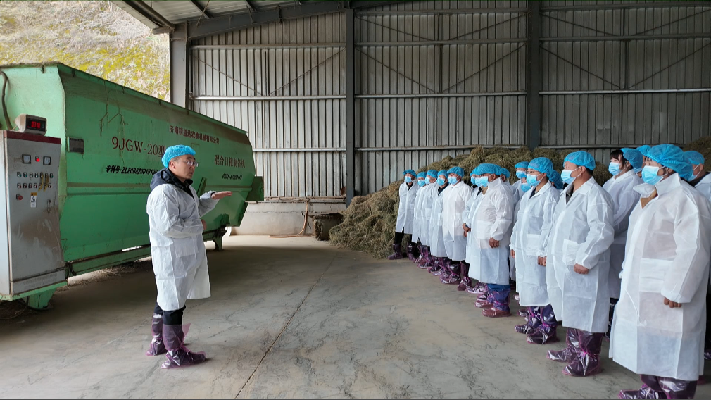 1762935174108044332.png 661330ef86ca47126175766de68558ee_720.png