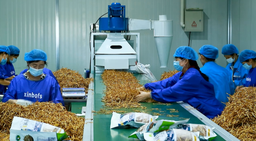 1762935055010054467.png f77f90fdb1e26c6f004da3bdd281cf70_720.png