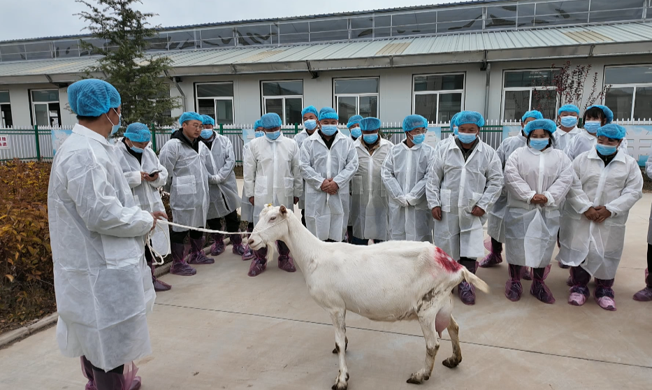 1762935183816031842.png 1be8a07c4c51819859b4297cb43d26de_720.png