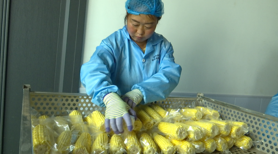 1762935030363052111.png 9ca67d77b6b69bfcded2319e7c729269_720.png