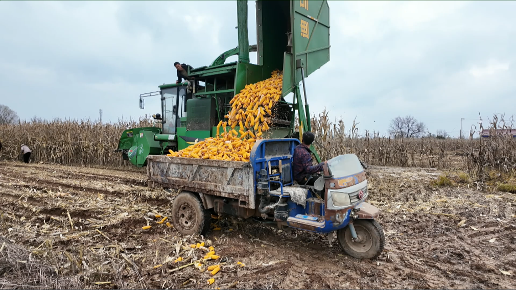 1762934844508018619.png 790532d8bc0e7f399d0949e54fd5f09e_720.png