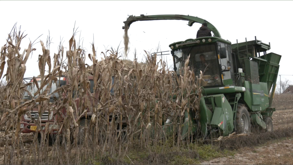 1762934860319060436.png 4a9bcc9f76827fa31c6ca9c6b1f72f13_720.png