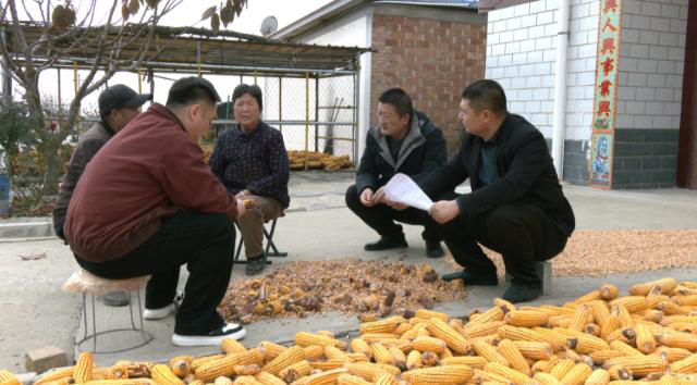 【四中全会精神在基层】合水县板桥镇:庭院传党音 实干践初心118