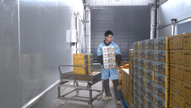 【全面推进乡村振兴 加快农业农村现代化】合水:特色农产品加工 点亮乡村振兴路554