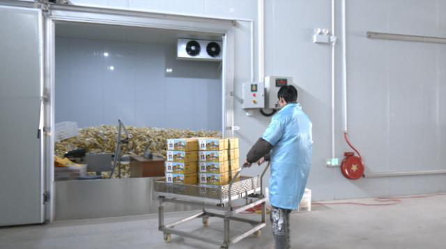 【全面推进乡村振兴 加快农业农村现代化】合水:特色农产品加工 点亮乡村振兴路552