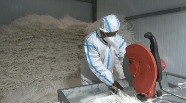 【全面推进乡村振兴 加快农业农村现代化】合水:特色农产品加工 点亮乡村振兴路354