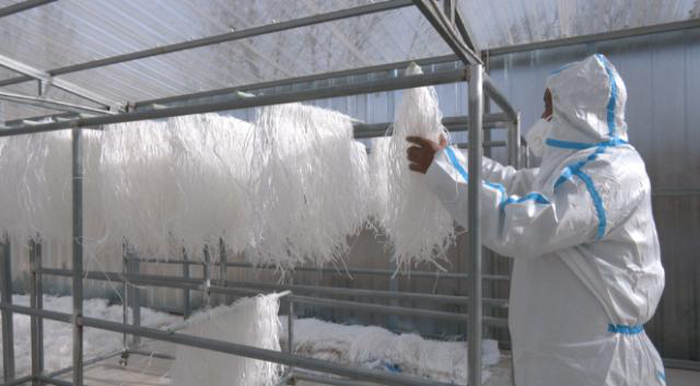 【全面推进乡村振兴 加快农业农村现代化】合水:特色农产品加工 点亮乡村振兴路352