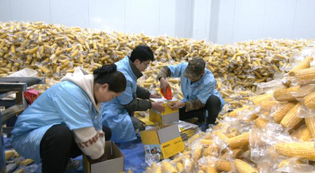 【全面推进乡村振兴 加快农业农村现代化】合水:特色农产品加工 点亮乡村振兴路550