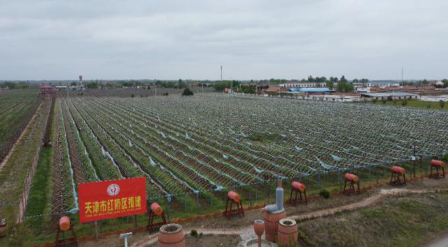 1766390279281054551.png 图片4.png