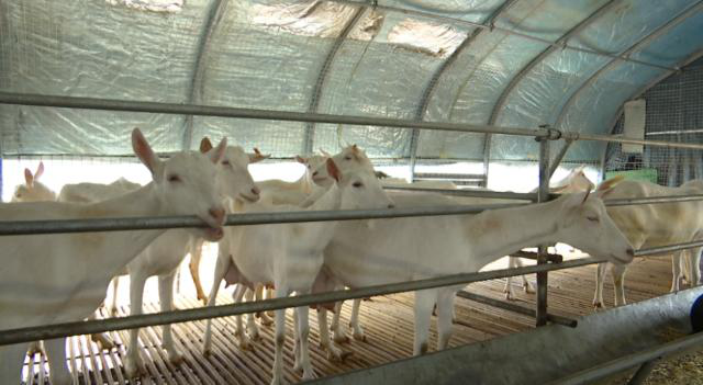 1766390270727086673.png 图片3.png